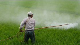 Пестициды и агрохимию разрешат ввозить в РФ через 14 пунктов пропуска